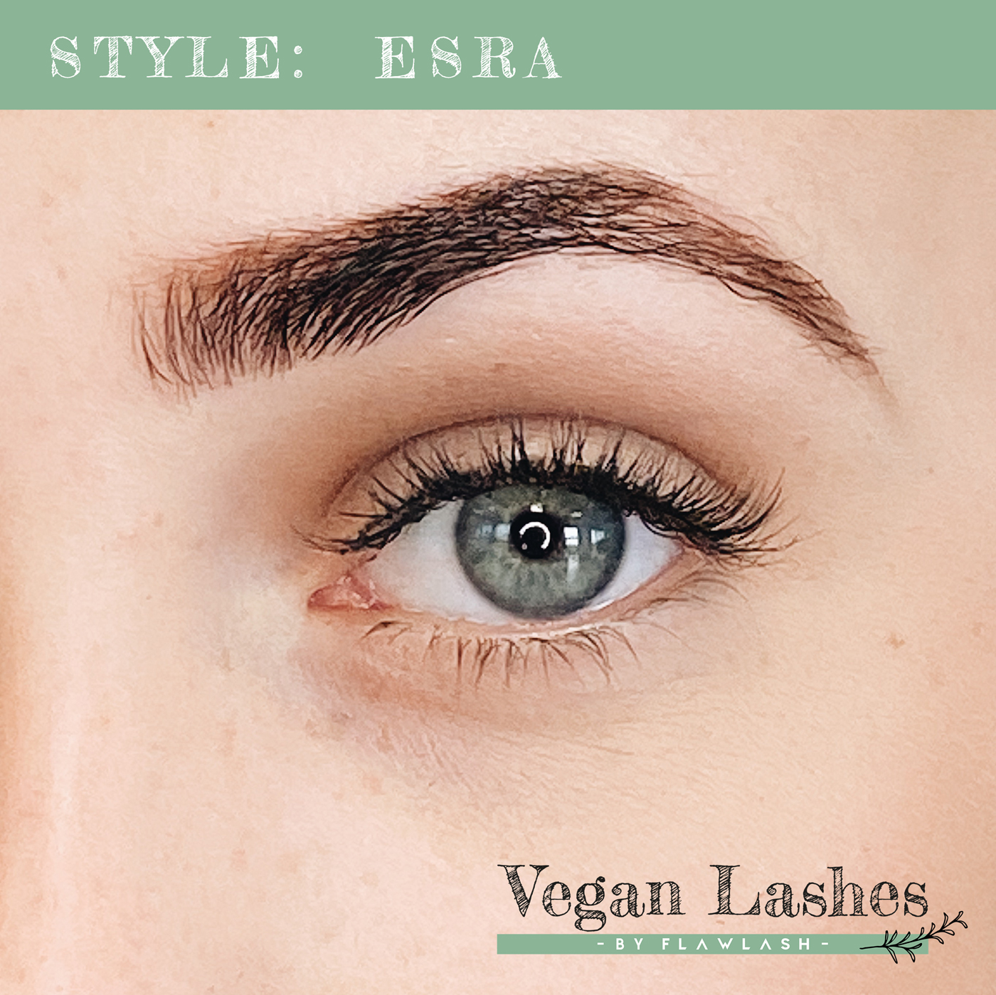 Bestellen Esra Vegan wimpers lashes